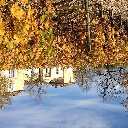 Bed and Breakfast Chateau Belles Graves Pomérols Exterior foto