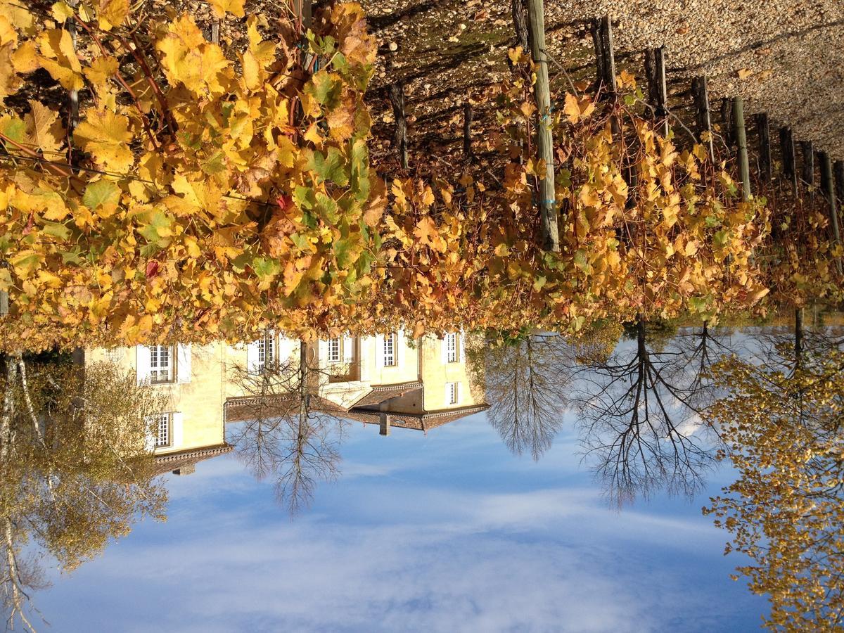 Bed and Breakfast Chateau Belles Graves Pomérols Exterior foto