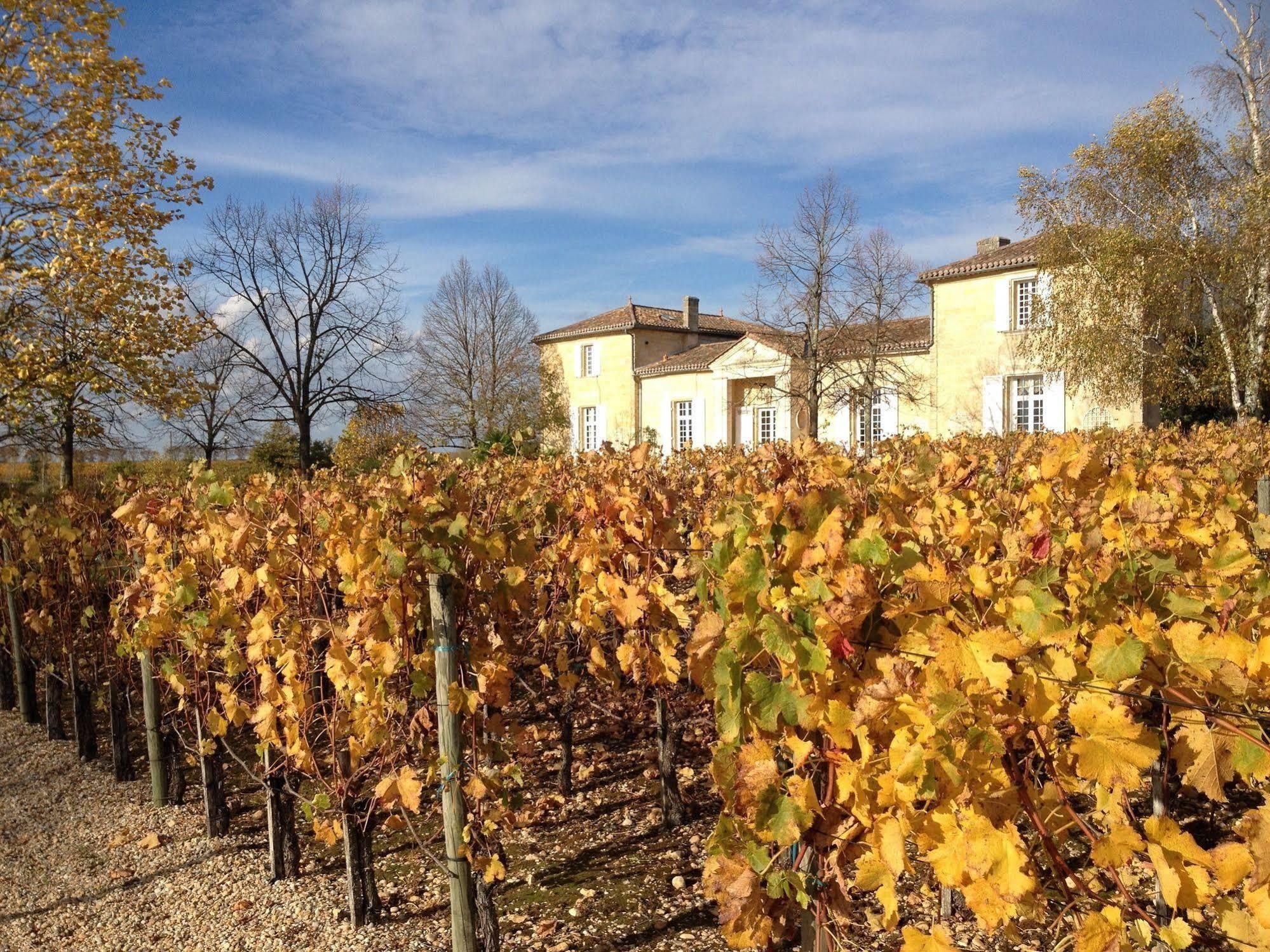 Bed and Breakfast Chateau Belles Graves Pomérols Exterior foto